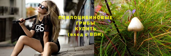 мдпв Красноперекопск