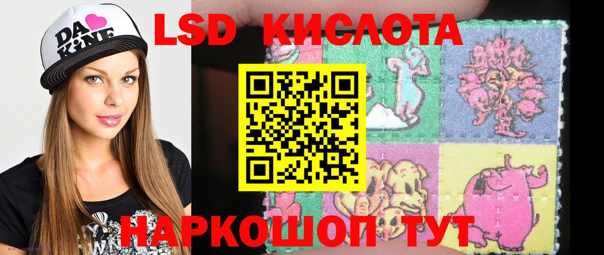 Александров  Марки N-bome 1,5мг  Марки N-bome 1,5мг  Вход с VPN 