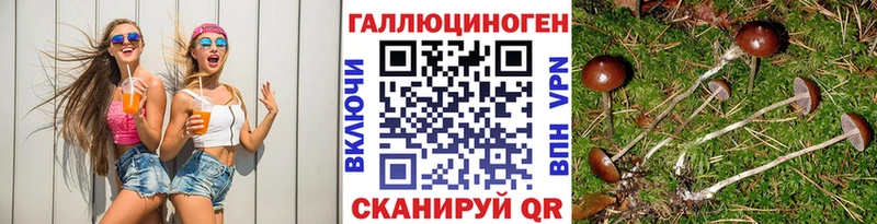 Галлюциногенные грибы Magic Shrooms Александров