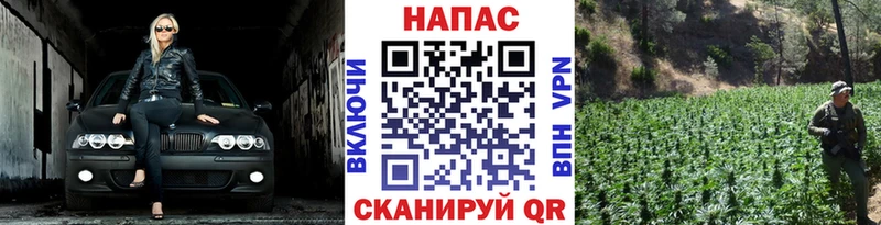 Конопля марихуана  сколько стоит  kraken онион  Александров 